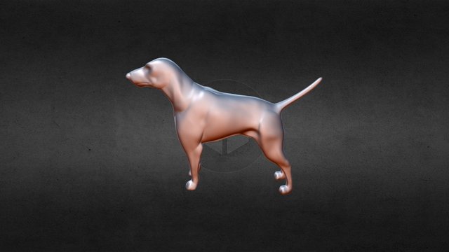 Highpoly Dog 3D Model