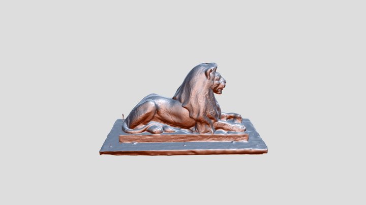 Lion Test 3D Model
