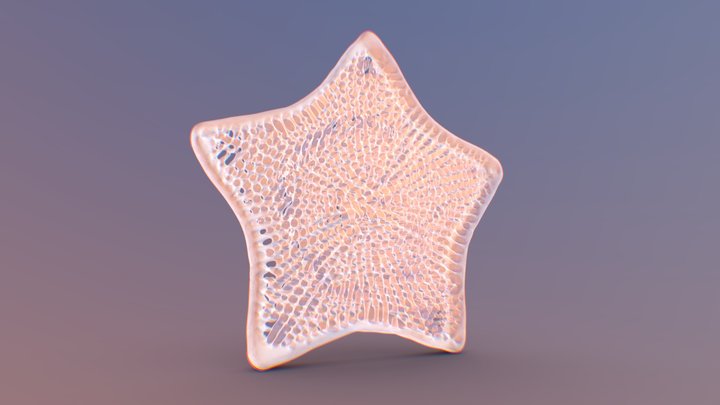 Star Diatom Skeleton 3D Model