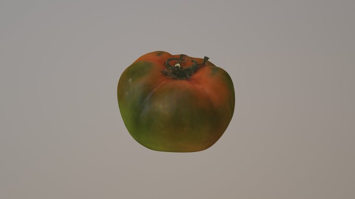Tomate 3D Model