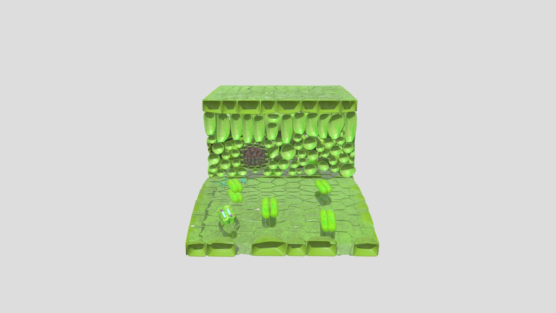 气孔