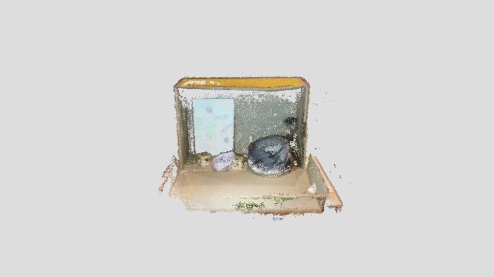 DollhouseExamplePointcloud 3D Model