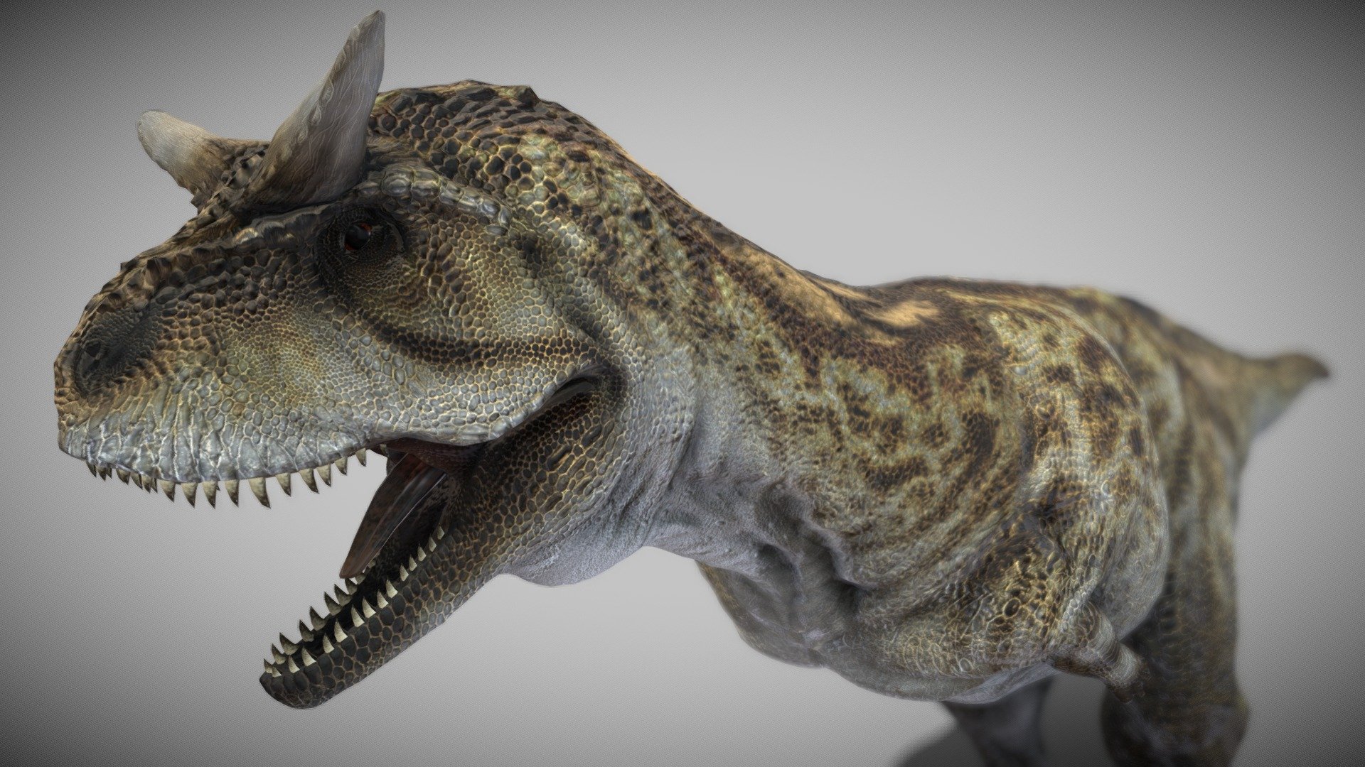 Carnotaurus - Buy Royalty Free 3D model by robertfabiani [6de4561 ...