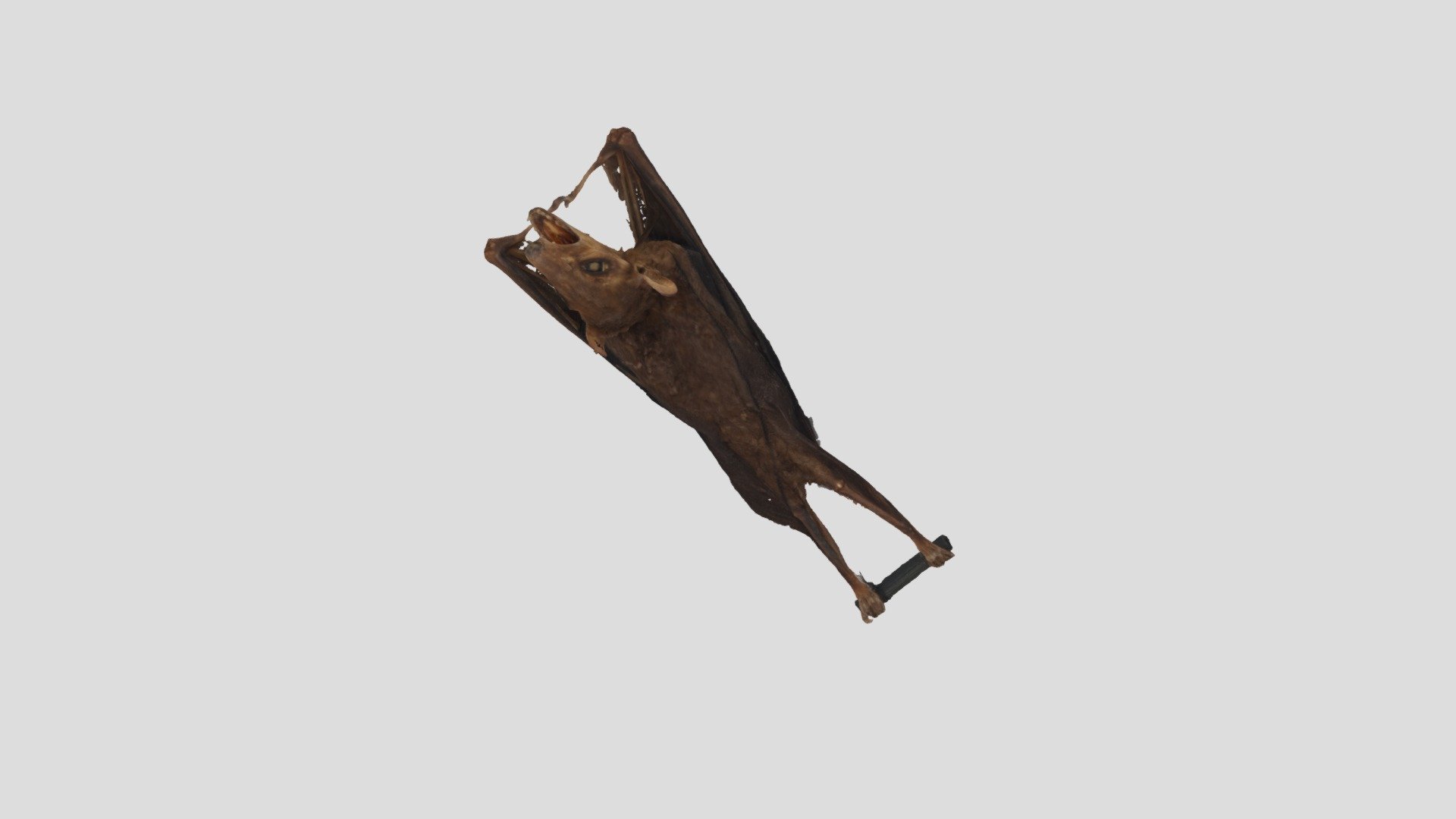 Pinchy #2 - 3D model by AlexBeebe [6de600a] - Sketchfab