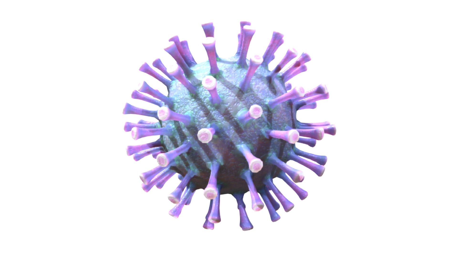 3D model Corona Virus Covid 19 - This is a 3D model of the Corona Virus Covid 19. The 3D model is about a purple flower with many petals.