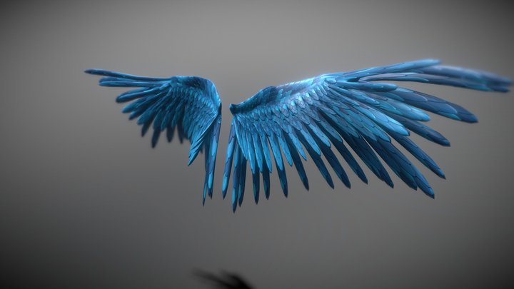 Feather Wings 3D Model