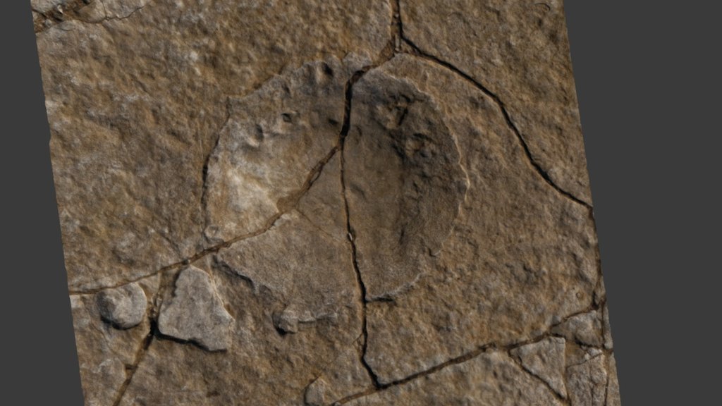 Keates Quarry Sauropod prints