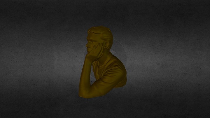 3d Scan by Printmein3d 3D Model