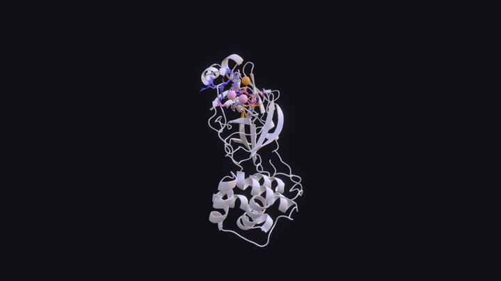 SARS-CoV-2 Mpro and inhibitor nirmatrelvir 3D Model