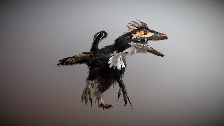 Deinonychus Antirrhopus 3D Model