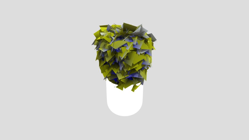Ficus Bush Pot
