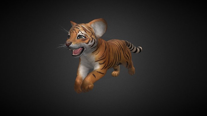 Baby Tiger Run 3D Model