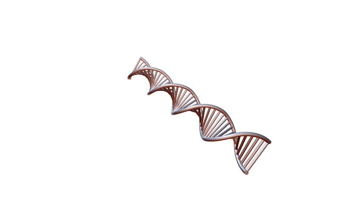 DNA 3D Model