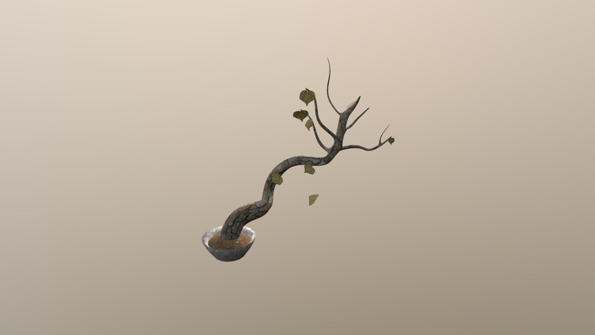 Plant