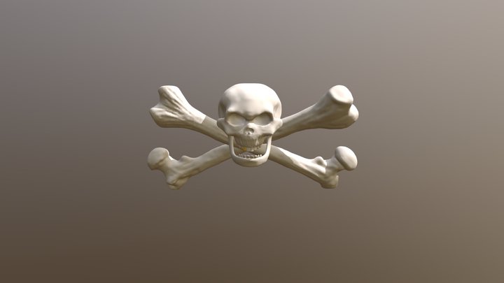 Skully Jolly Roger 3D Model