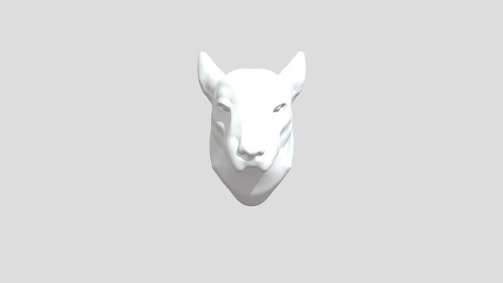 My model 3D Model