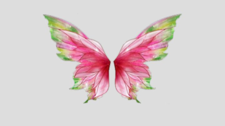 Butterfly wings 3D Model