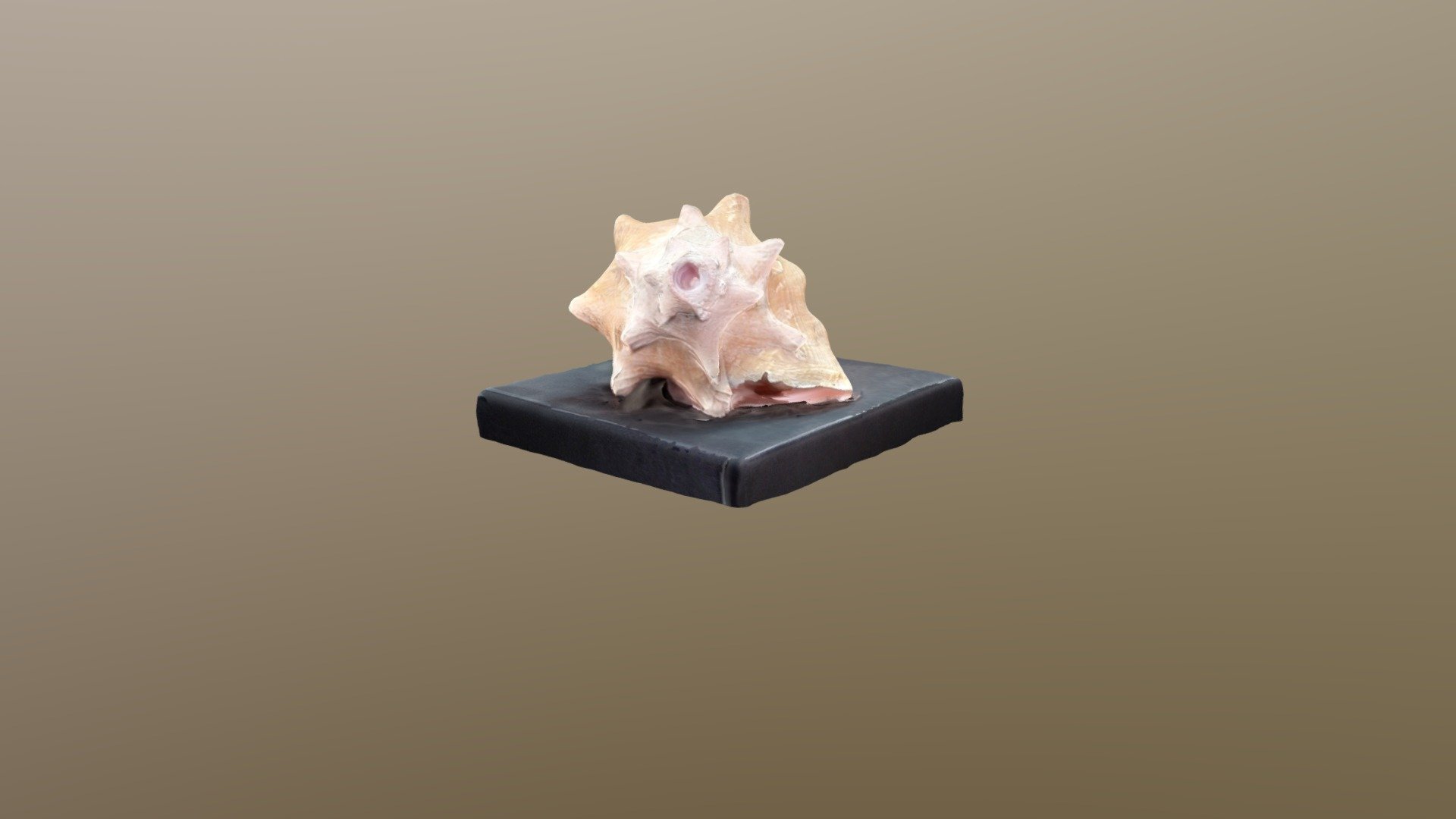 Voorbeeld van vrijevormscan