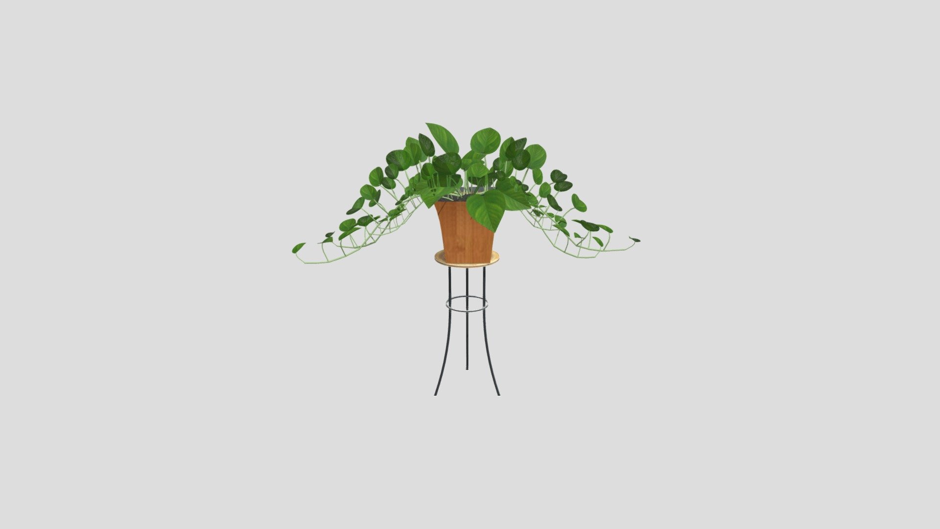 Pothos Pot with Stand