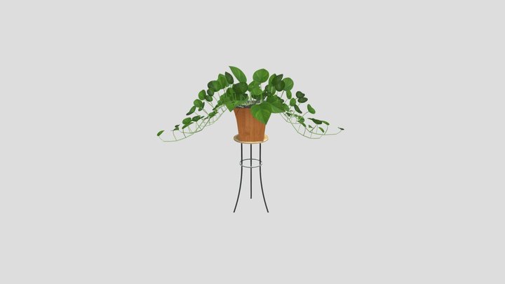Pothos Pot with Stand 3D Model