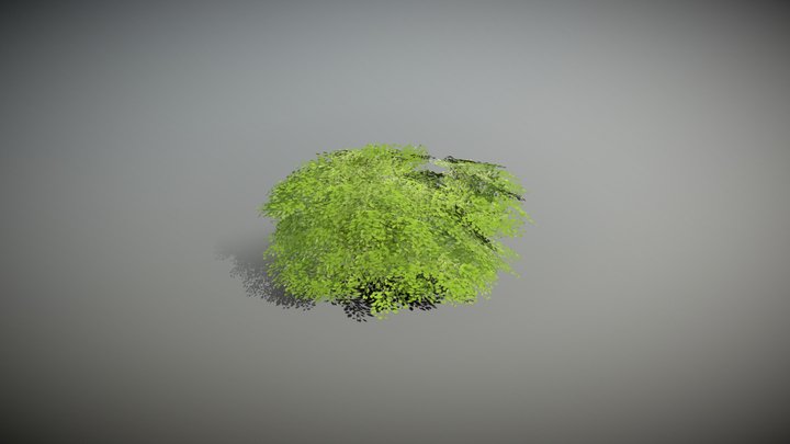 Low Poly Shrub - Small Texture 3D Model
