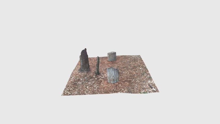 Standing stones 3D Model