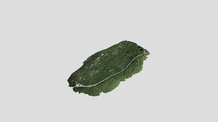 frutis_dragove_simplified_3d_mesh 3D Model
