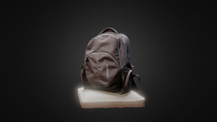 Back Pack 3D Model