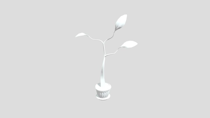 Plant assigment 3D Model