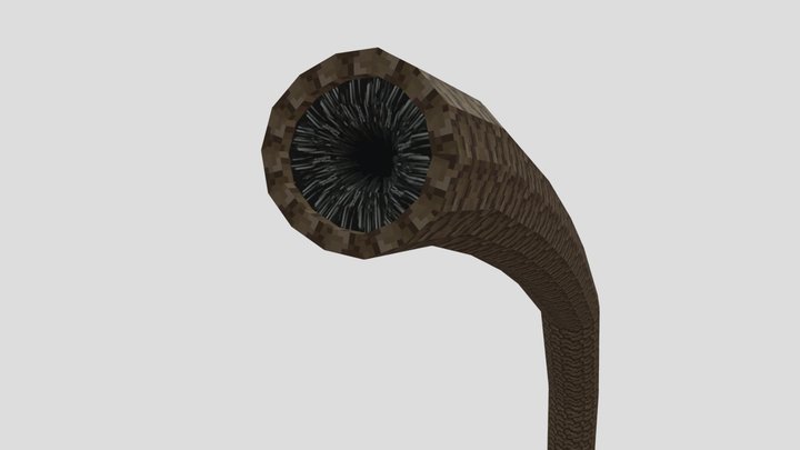 Duneworm 3D Model
