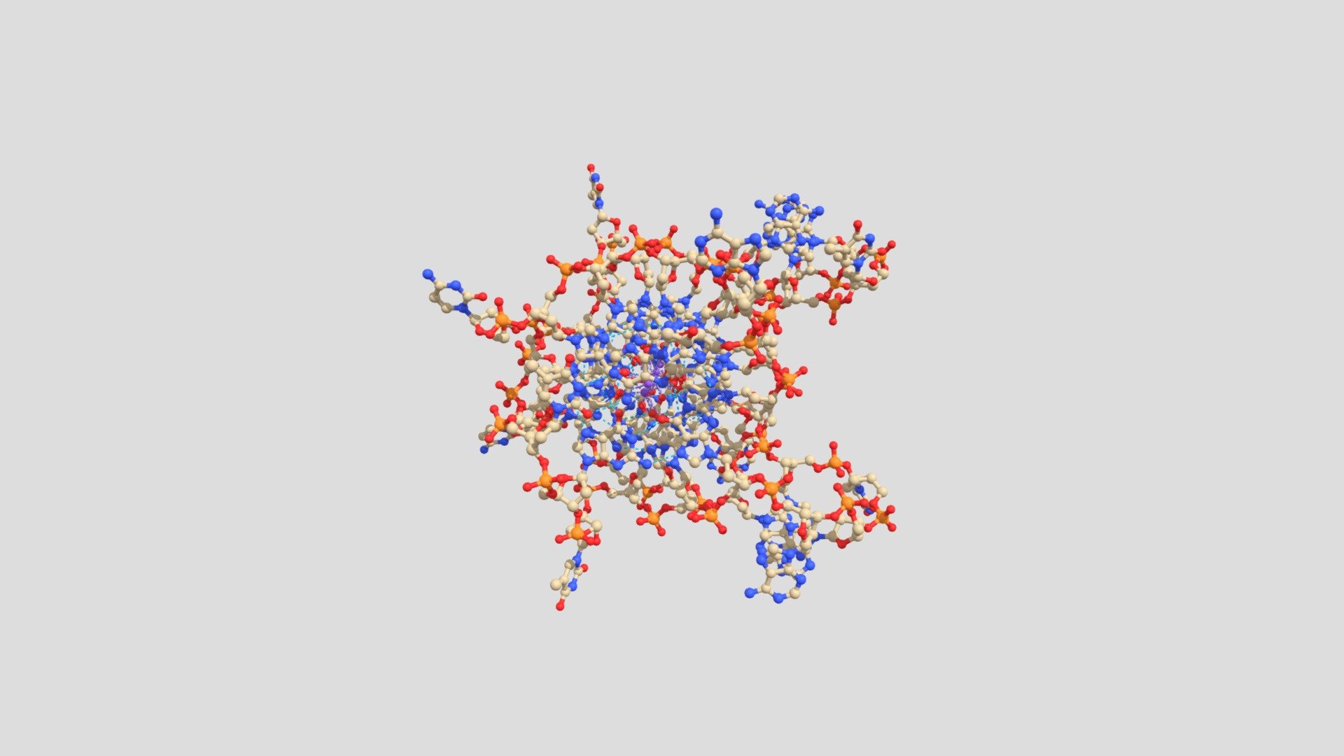 DNA G Quadruplex