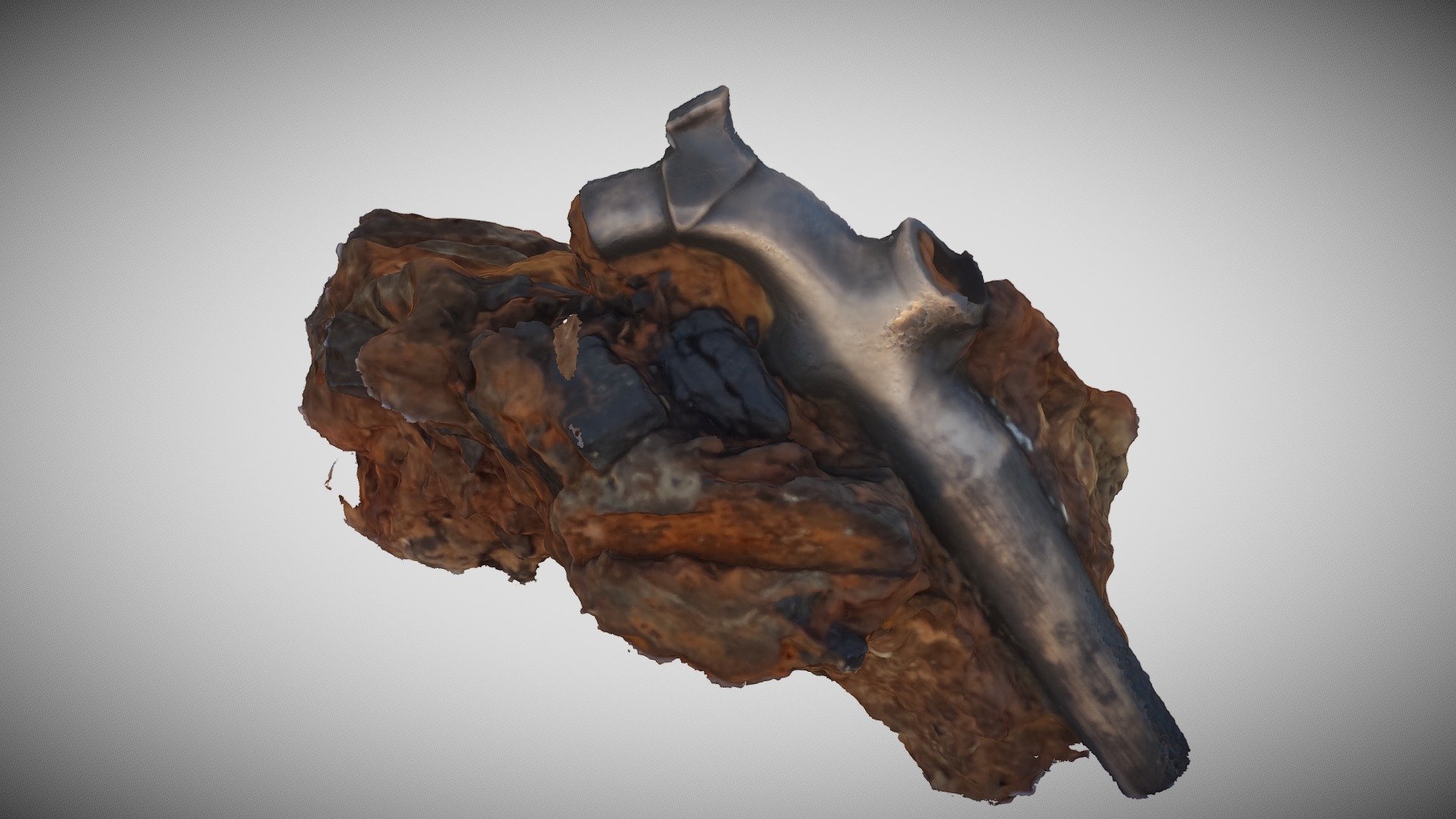 SHIPWRECK Barrel Tap In Concretion 1806 wreck