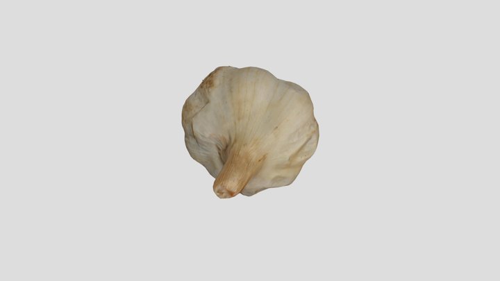 にんにく 3D Model