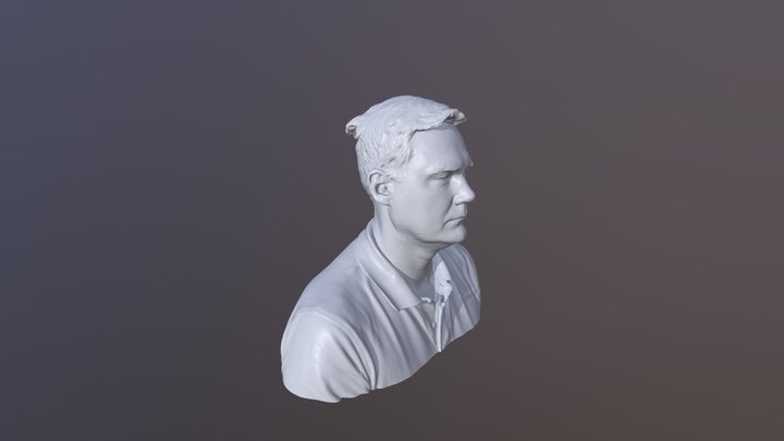 Lasse 3D Model
