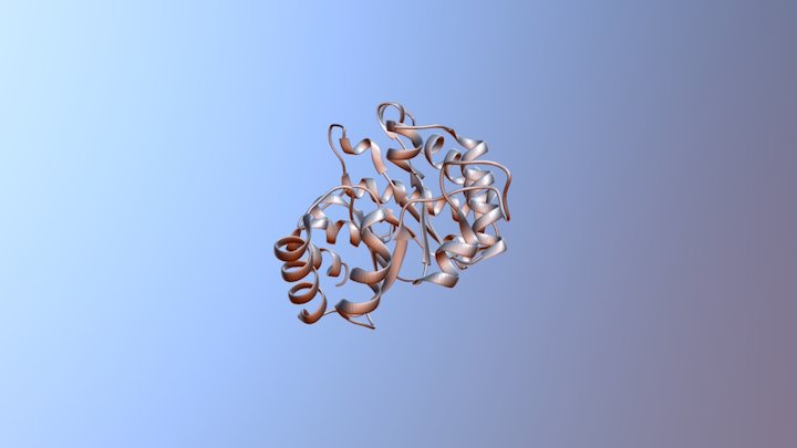 TIM Ribbon Animation 3D Model