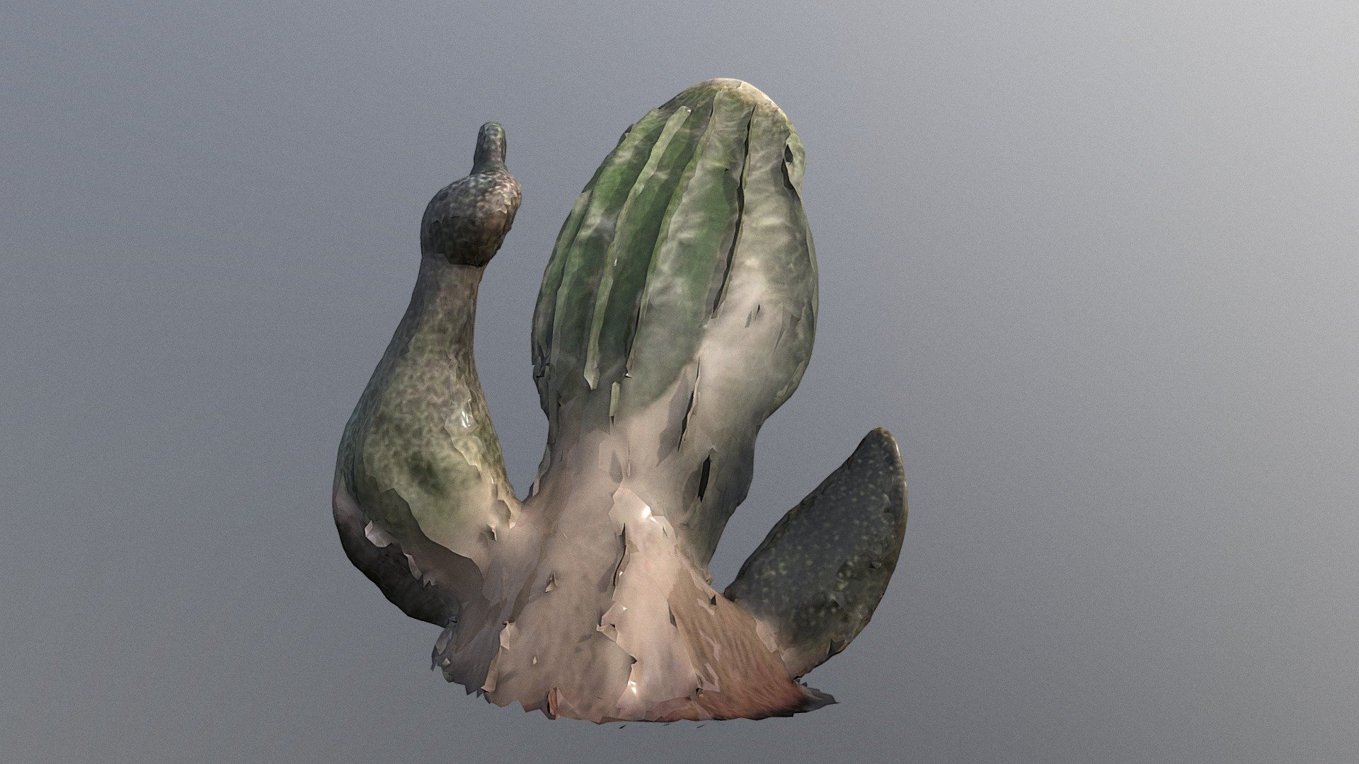 Opinionated Cactus — Sketchfab embed 3D viewer
