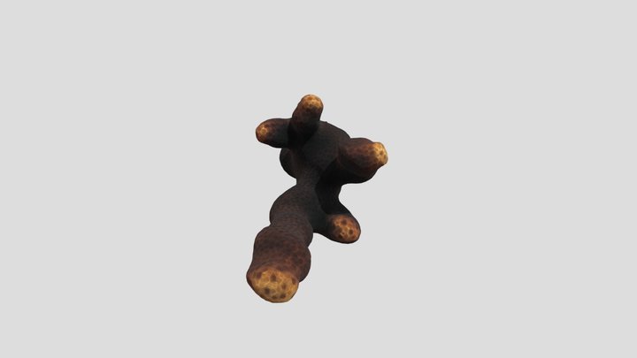 Porites Bright3 3D Model