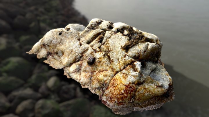 Beach Quartz Photoscan 2k – Modèle 3D gratuit STL