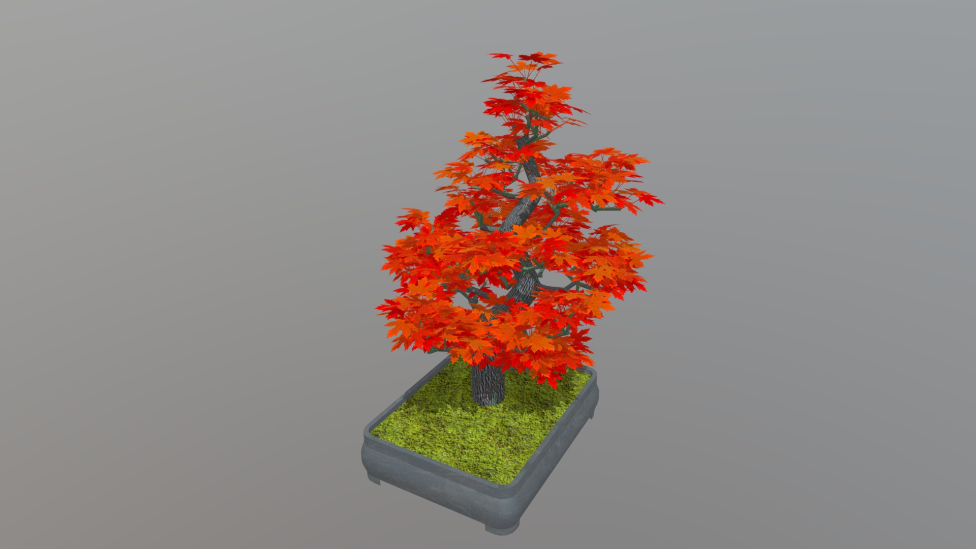 3D model Informal Upright - This is a 3D model of the Informal Upright. The 3D model is about a tree with orange leaves.