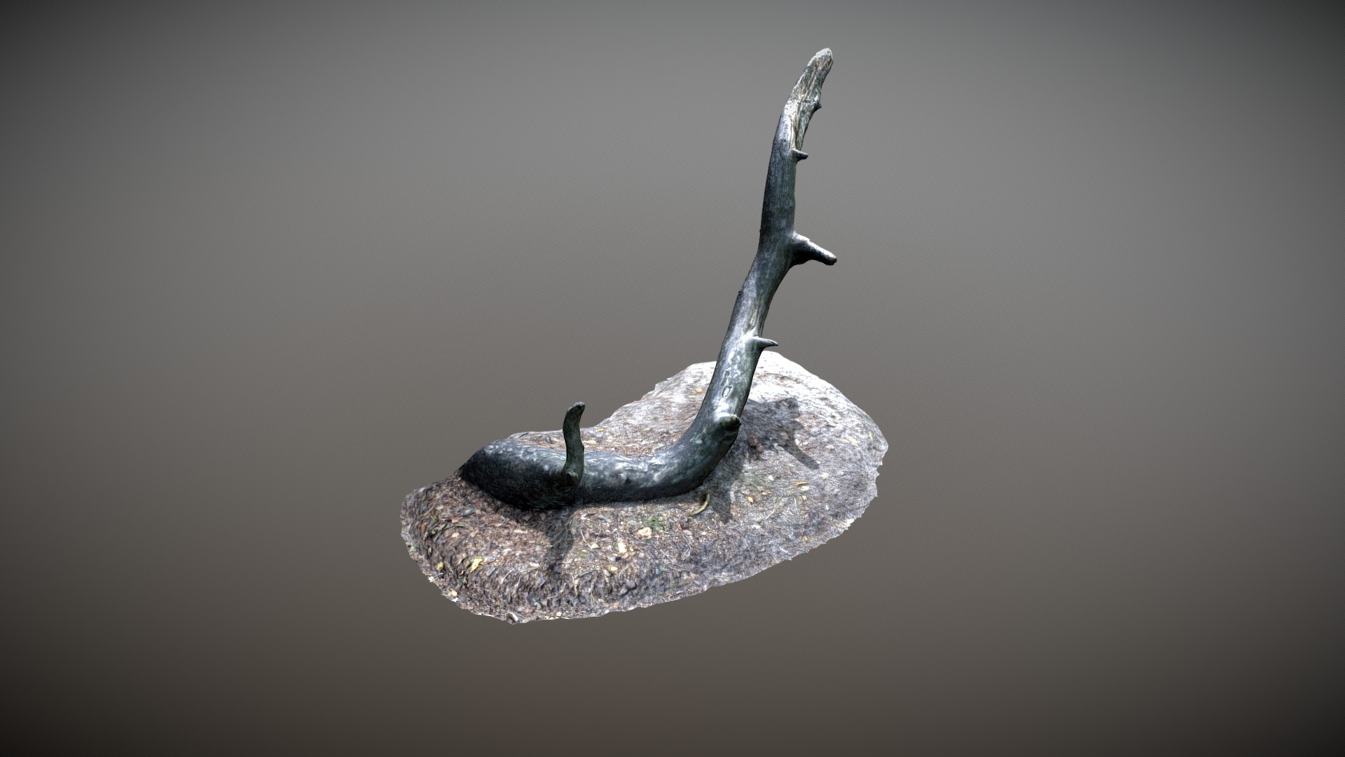 3D model Nature Forest Roots 004 - This is a 3D model of the Nature Forest Roots 004. The 3D model is about a drop of water falling into a rock.