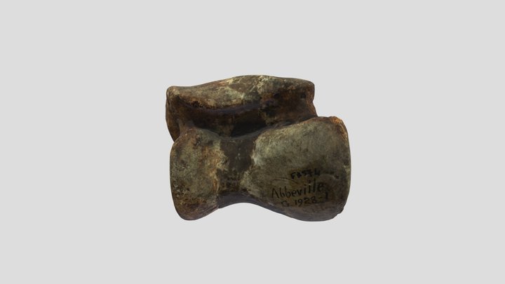 Talus de rhinocéros 3D Model