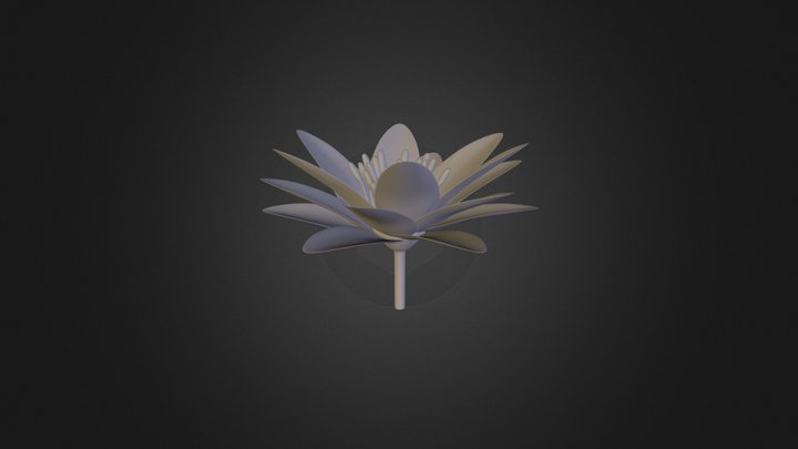 Water Lily 3D Model