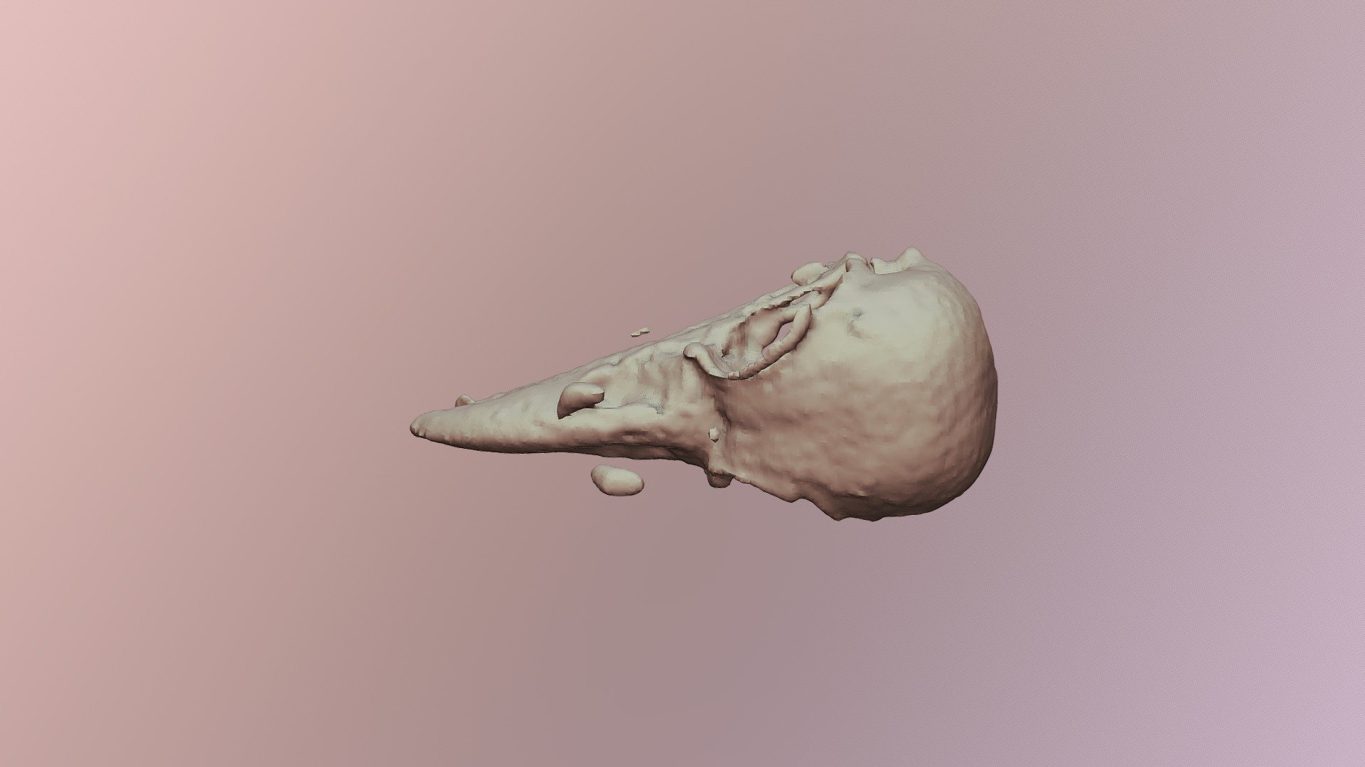 7E-Raven Skull-BC8130