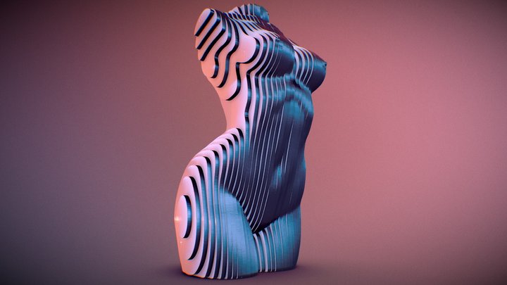 Sliced Female Torso Model 3D Model