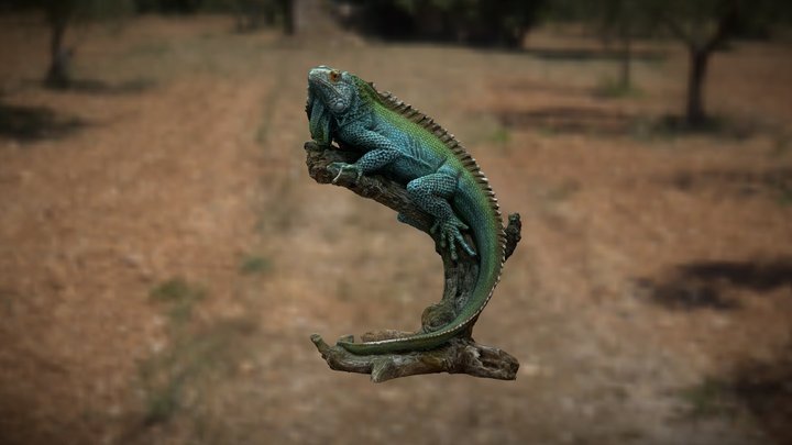 Iguana 3D Model