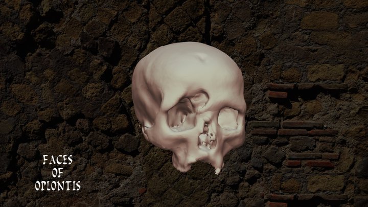 Oplontis B - Skull H 3D Model