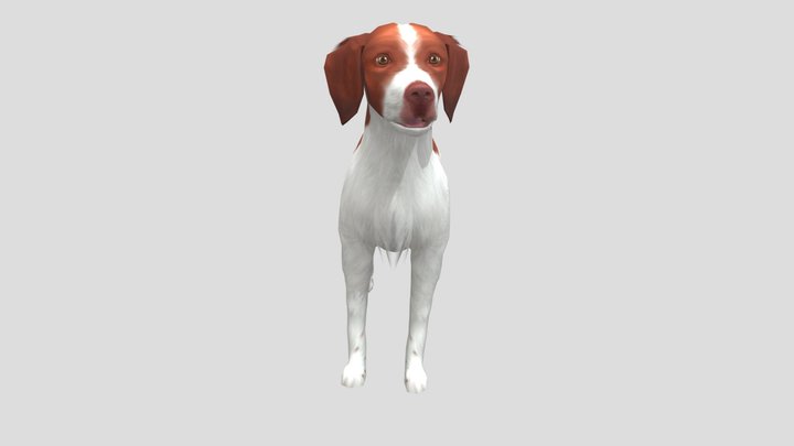 Realistic Sitting Dog 3D Model | High Quality – Free 3D Model STL