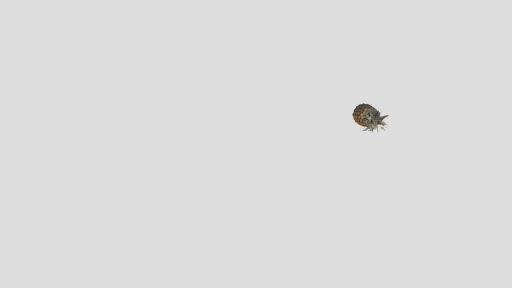 Pineapple 3D Model