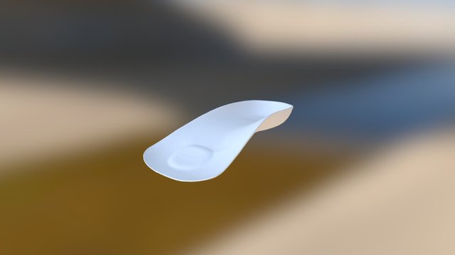 Arch Support 3D Model