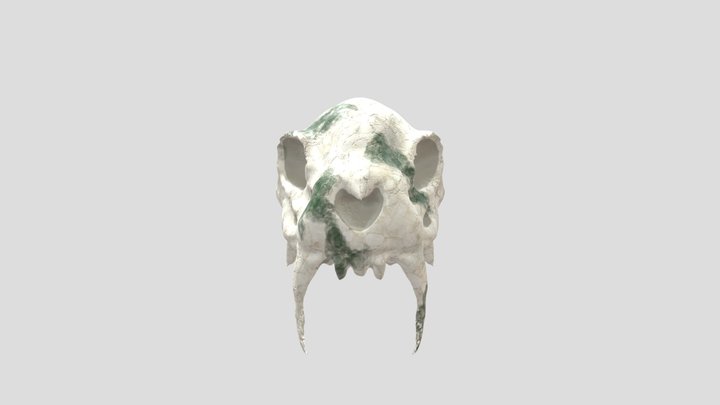 Sabertooth Tiger Skull 3D Model